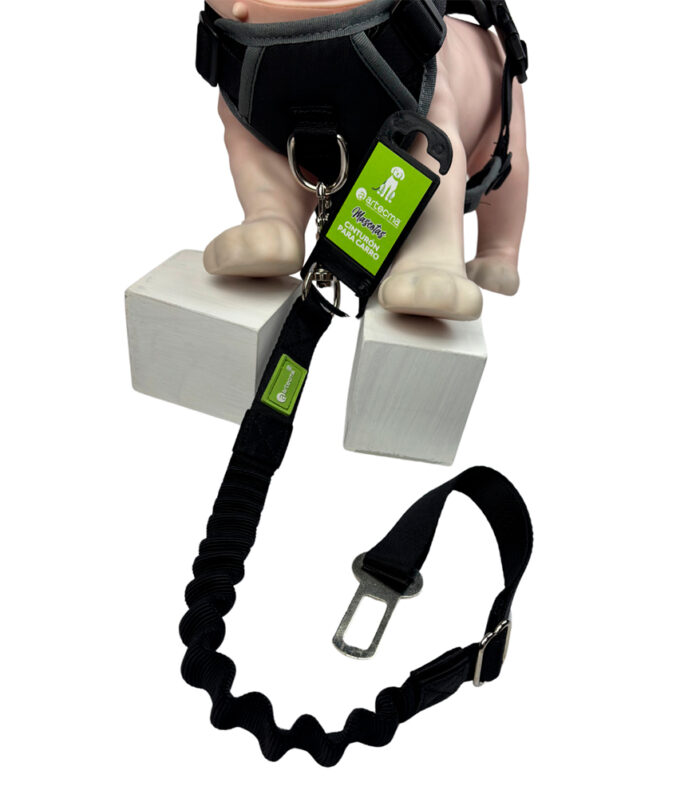 Correa Duo Thor – Carro