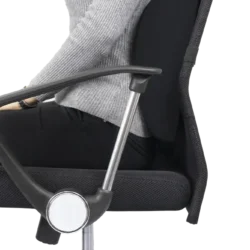 Cojín Ergonómico Lumbar